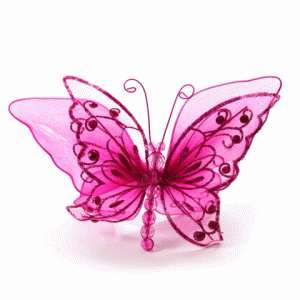 hot_pink_butterfly_craft_large